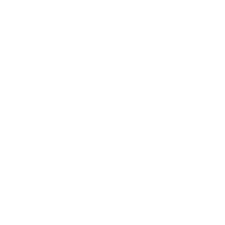 sergh163's emblem
