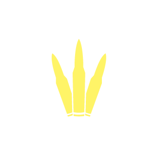 a1920bcb52ba13e2's emblem