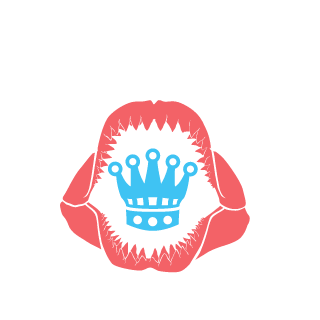 LordKiras96's emblem