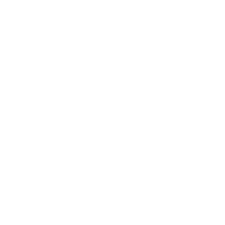Juls_eleven's emblem