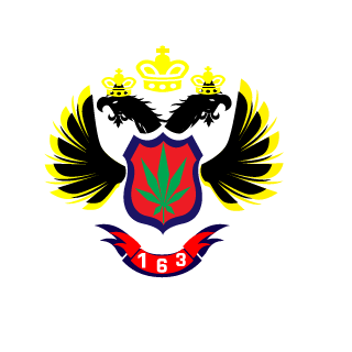 MyrAn163-RuS's emblem
