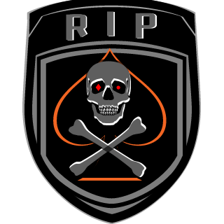 Raster23's emblem