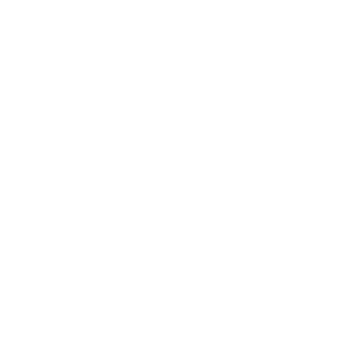 xandres96x's emblem
