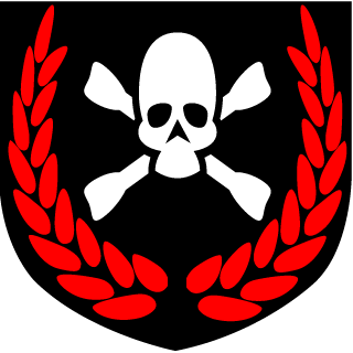 11Roberto20's emblem