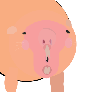 CYBER_NO_AR's emblem
