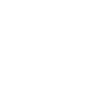 DupleX228's emblem