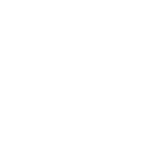 michibrm's emblem