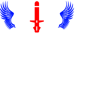 pascal89140's emblem