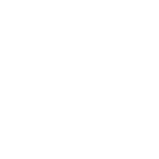 LeonD10's emblem