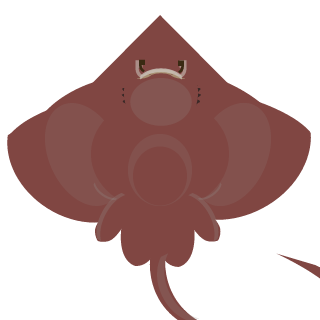 squlid's emblem