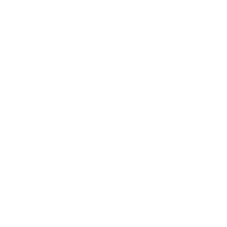denji_137's emblem