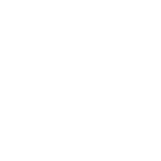 VQracer's emblem