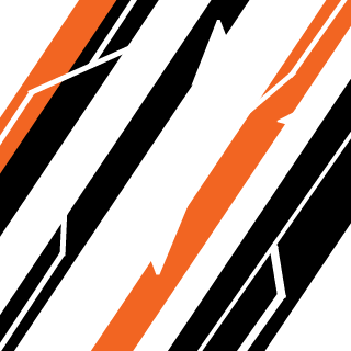 r4ypt0r's emblem