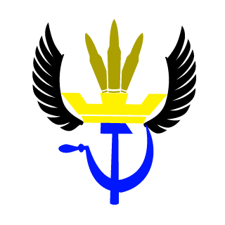ViniciusAmorim1's emblem