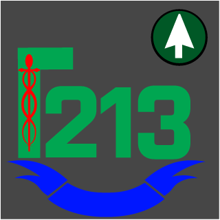 Vtuber Revna's emblem