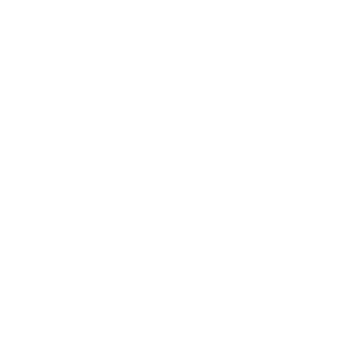 ston_sosedky's emblem