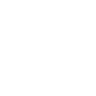 x-ITSOVER9000's emblem