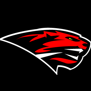 Turkish eSports Team's emblem