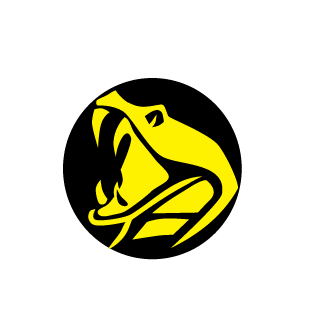 KRoNik_BoNgz's emblem