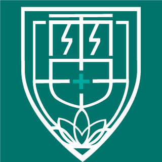 123kzd789's emblem