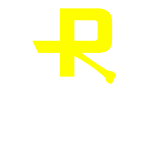 Runnyinthe90s's emblem