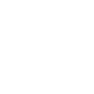 Rua29's emblem