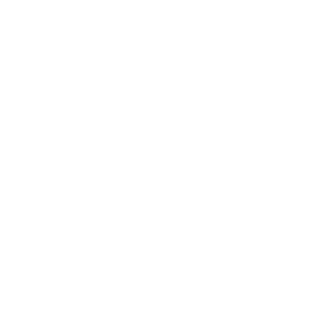 shoutshot's emblem