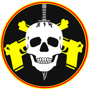 Skullz's emblem