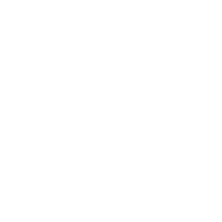 DT303's emblem