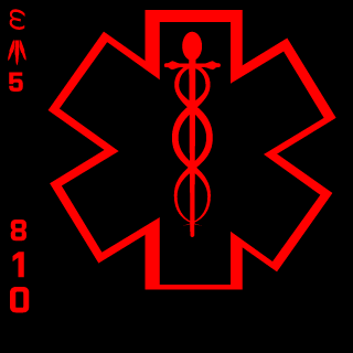 HoodRatActual810's emblem