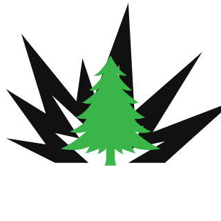 1337Sp4ce1337's emblem