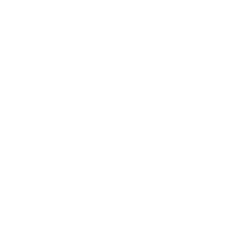 ShakierDisc6158's emblem