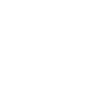 Dwor80's emblem