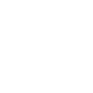 minerogordoviado's emblem