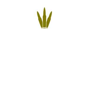IRFClan's emblem