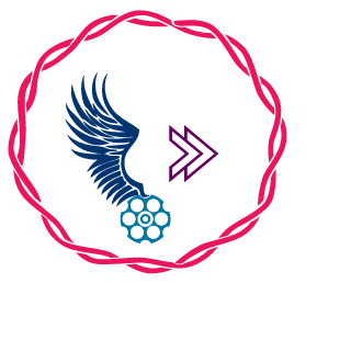RandleDing's emblem