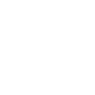 Z1NYA's emblem