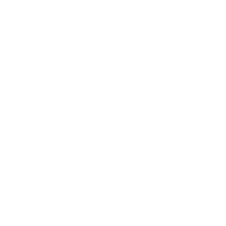 Boozle41's emblem
