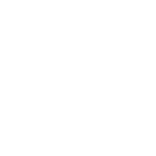 NiyeVuruyonKi's emblem