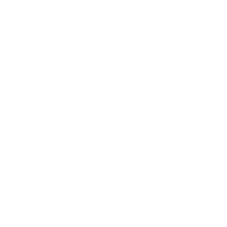 SrGabriel22's emblem