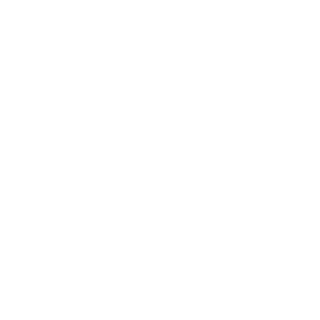Raymus40's emblem