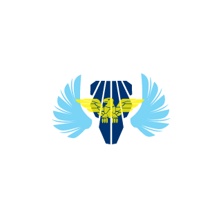 Diman2ru's emblem