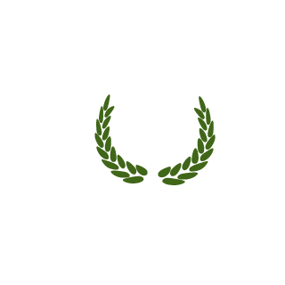 Debski1999's emblem
