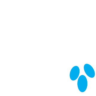 Rapscaz's emblem