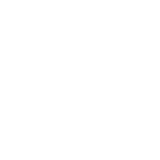 NICAMAX's emblem