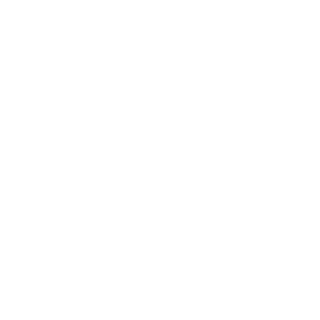Antiviruss's emblem