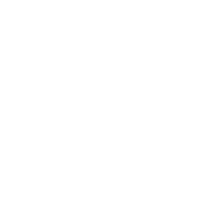 BW3117's emblem