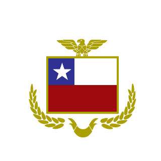 138143216c842c90's emblem