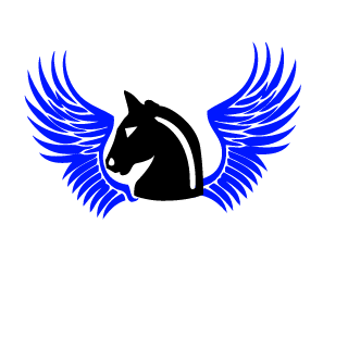 SidneiSSV's emblem