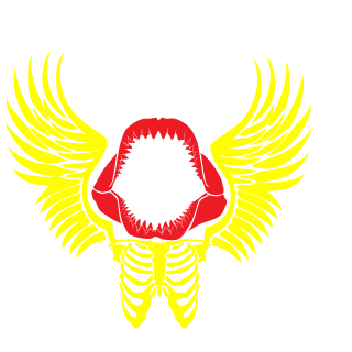 Pirate8oss's emblem